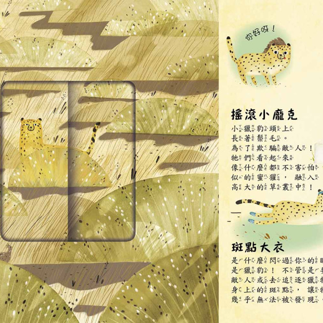 華碩文化 是誰藏在沙漠和海裡?