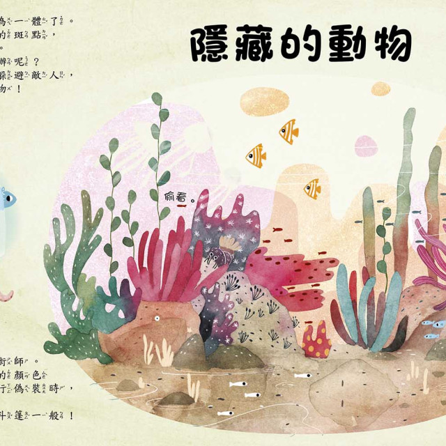 華碩文化 是誰藏在沙漠和海裡?