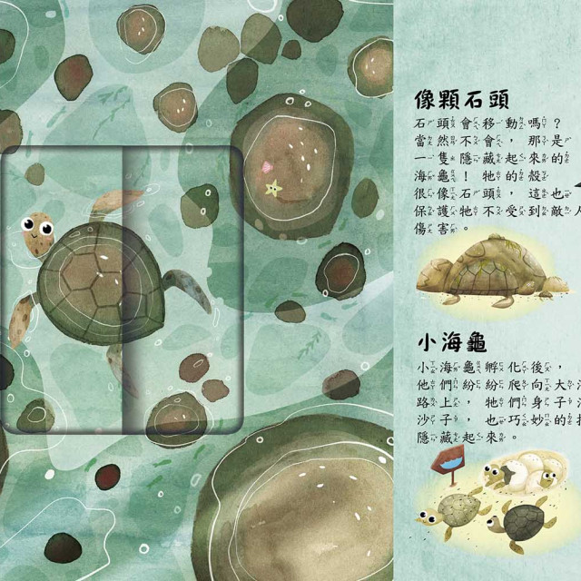 華碩文化 是誰藏在沙漠和海裡?