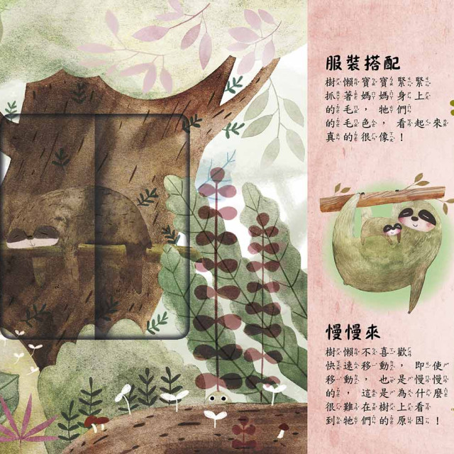 華碩文化 是誰藏在森林和雪地?