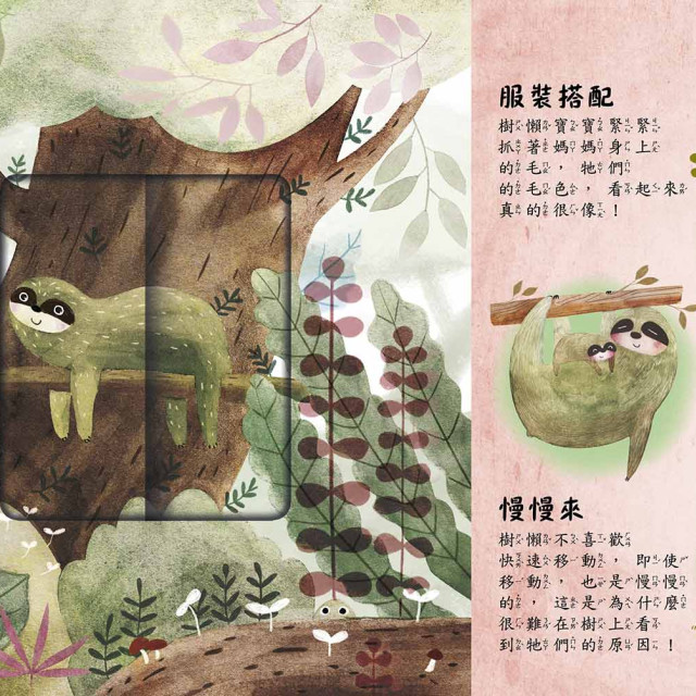 華碩文化 是誰藏在森林和雪地?