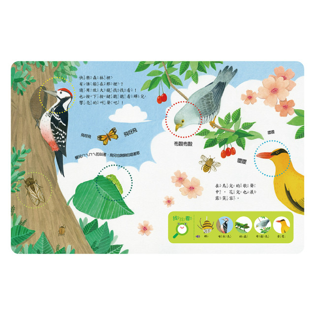 華碩文化 放大鏡有聲書 自然觀察