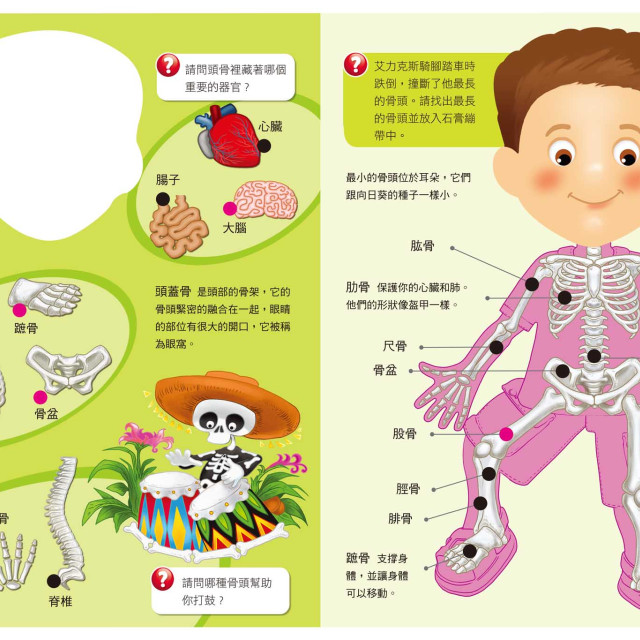 華碩文化 小專家系列 小醫生