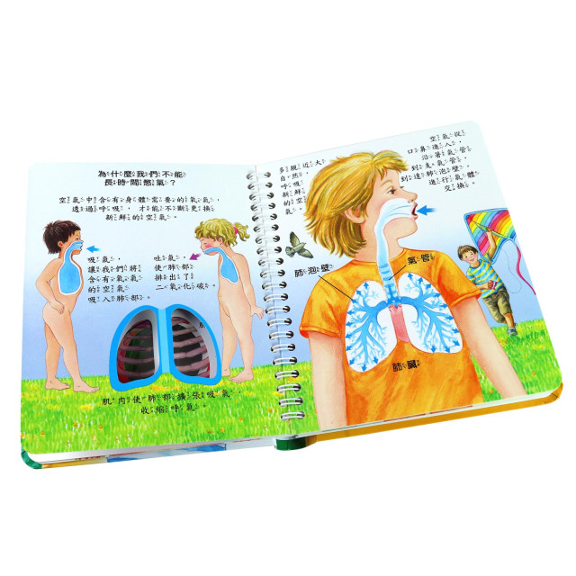 華碩文化 2D透視膠片書系列 身體密碼