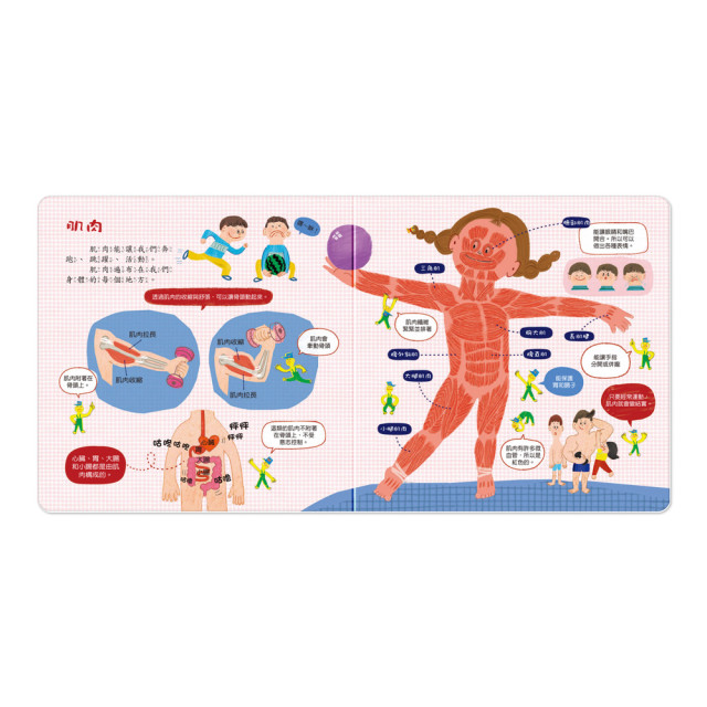 華碩文化 怦！怦！身體會說話